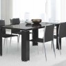 Стол обеденный 160 см (гостиная ARMONIA BLACK) арт. ARDBLTA01